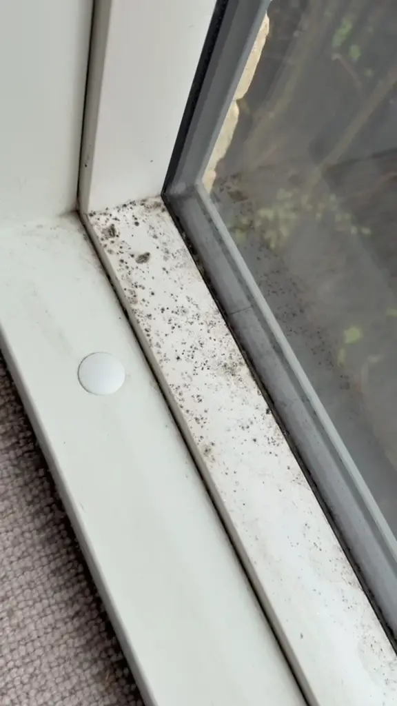 Window track detail before cleaning