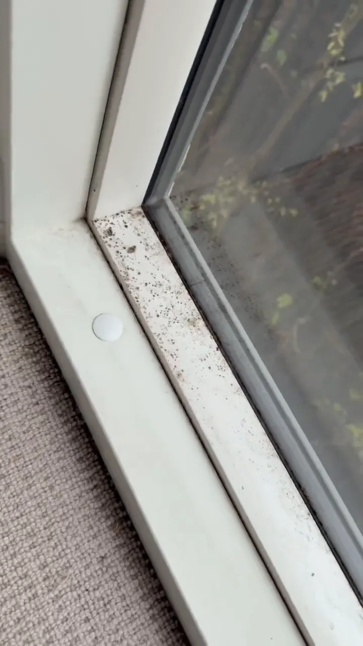 Window track before detailed cleaning